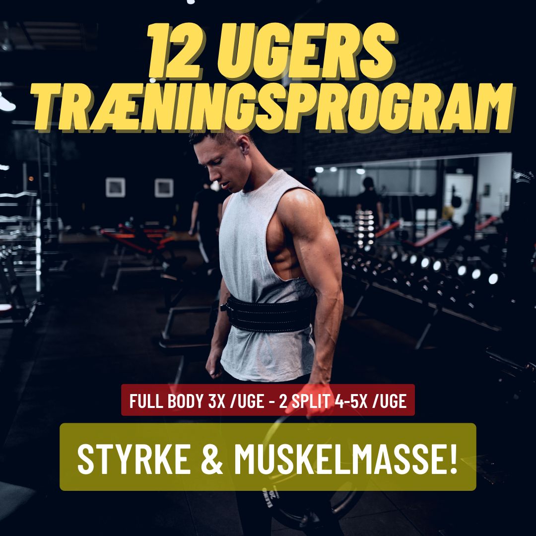 Grønland Regelmæssighed Lige 12 Ugers Træningsprogram - STYRKE & MUSKELMASSE! - FitnessBasen