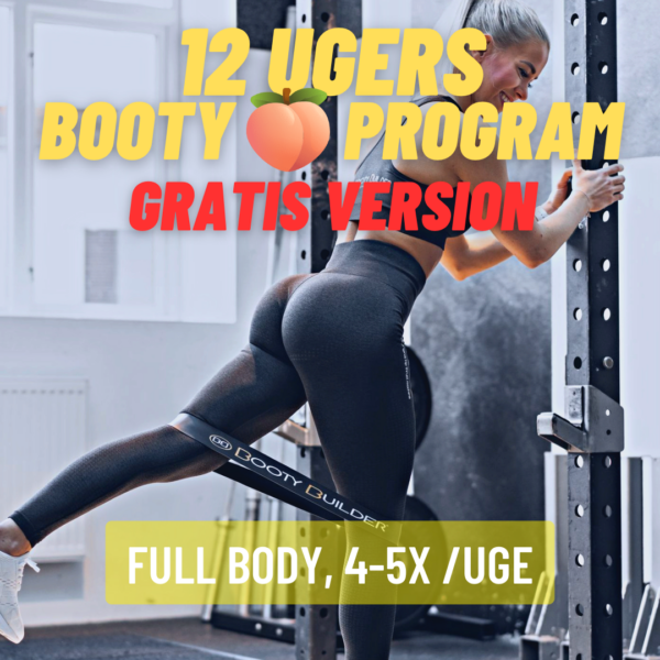 BOOTYPROGRAM - GRATIS VERSION